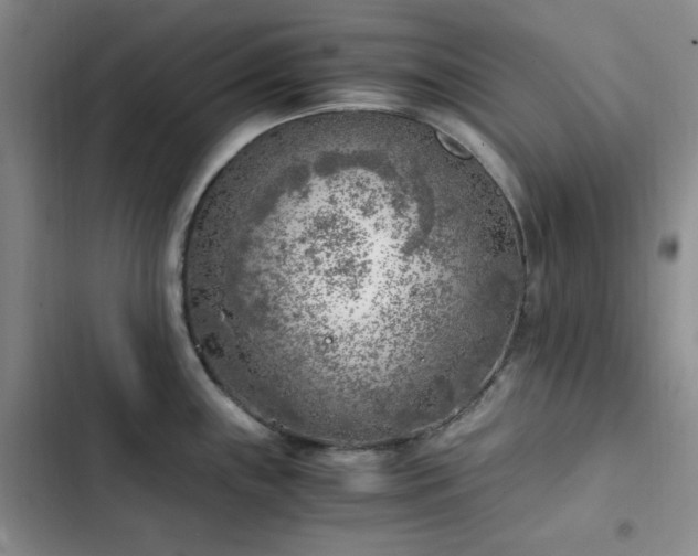 X0000103161243200808221347