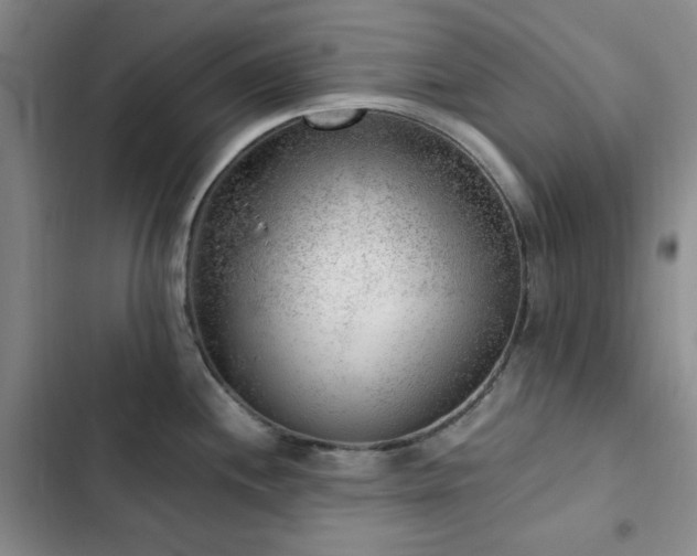 X0000103161244200808221347
