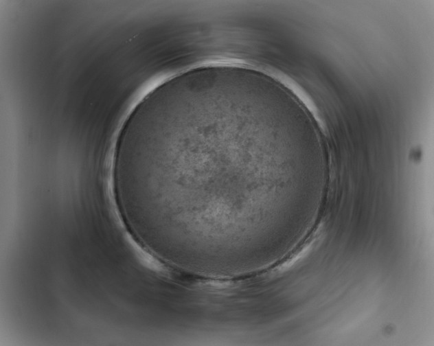 X0000103161245200808221347