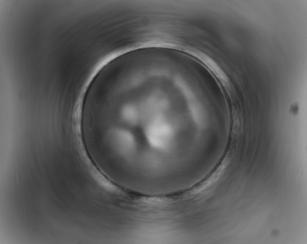 X0000103161246200808221347