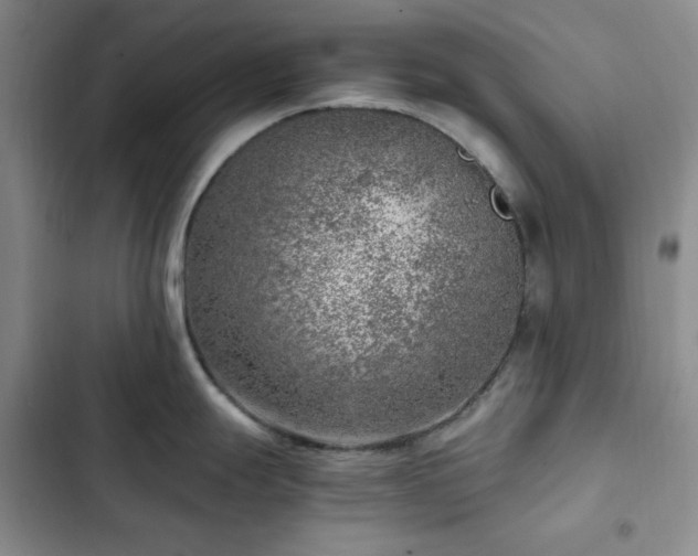 X0000103161247200808221347