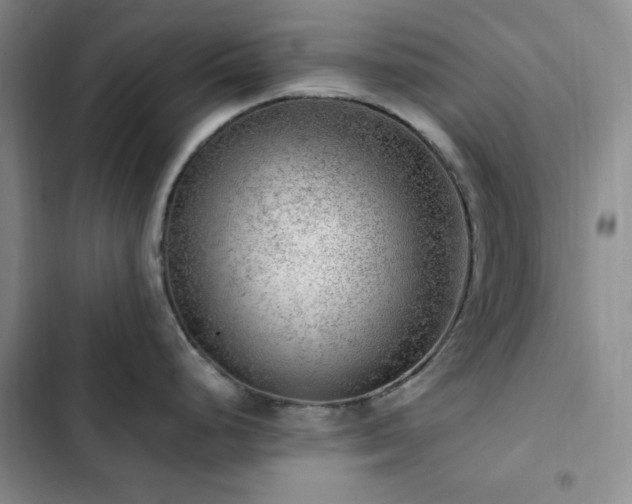X0000103161248200808221347