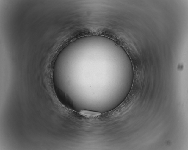 X0000103161249200808221346