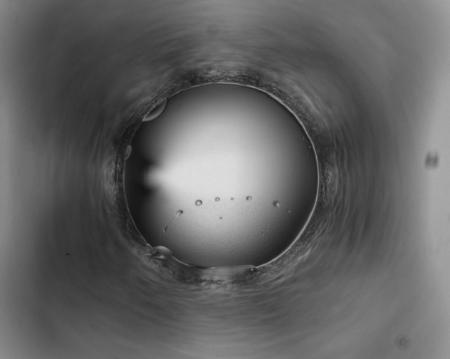 X0000103161250200808221346