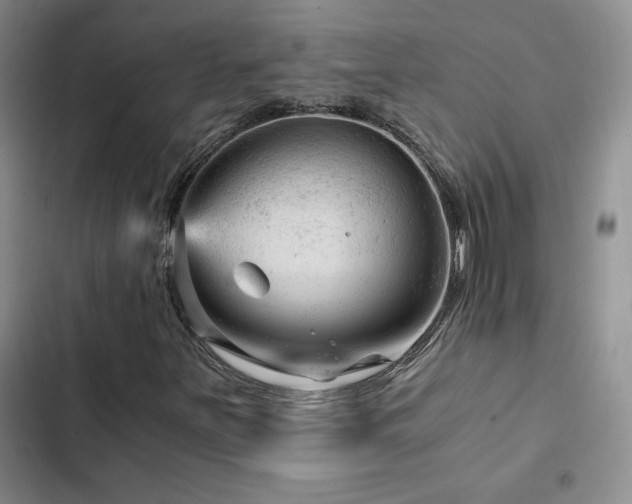 X0000103161251200808221346