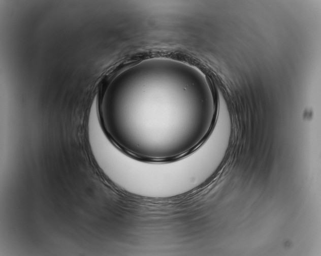 X0000103161252200808221346