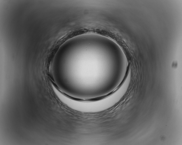 X0000103161253200808221346