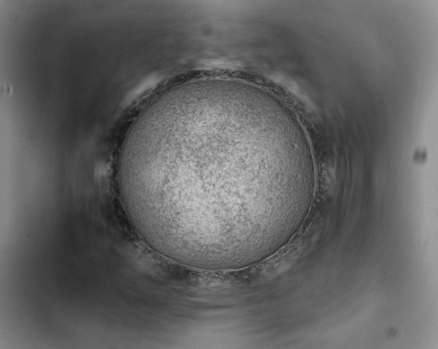 X0000103161254200808221346