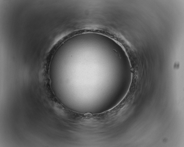 X0000103161256200808221346