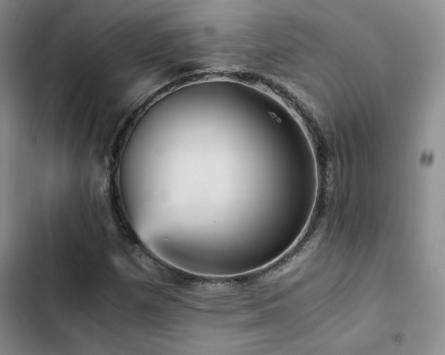 X0000103161257200808221346