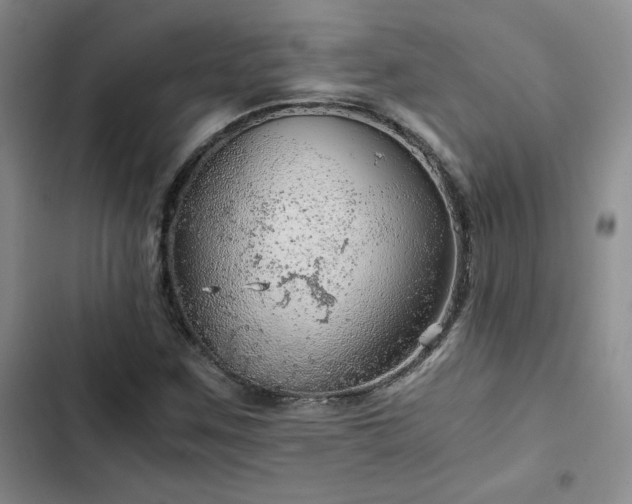 X0000103161259200808221346