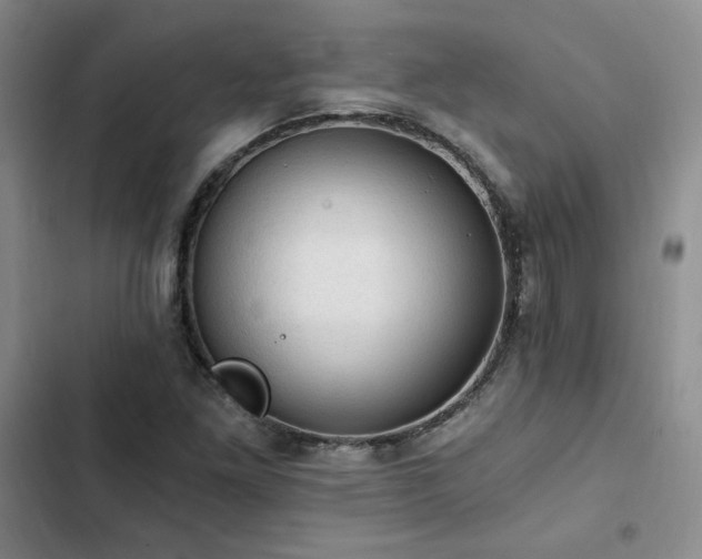 X0000103161261200808221346