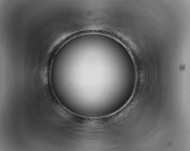 X0000103161262200808221346