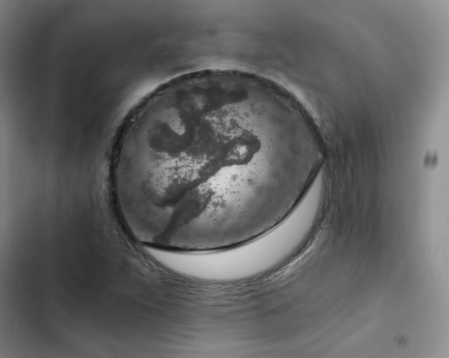 X0000103161263200808221346