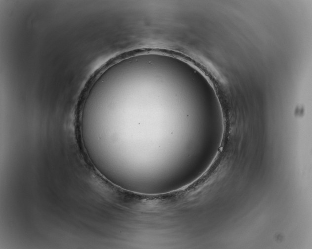 X0000103161264200808221346