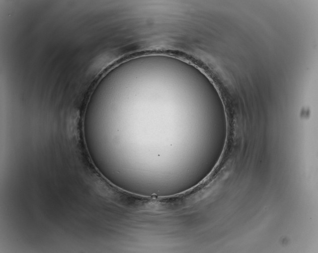 X0000103161265200808221346