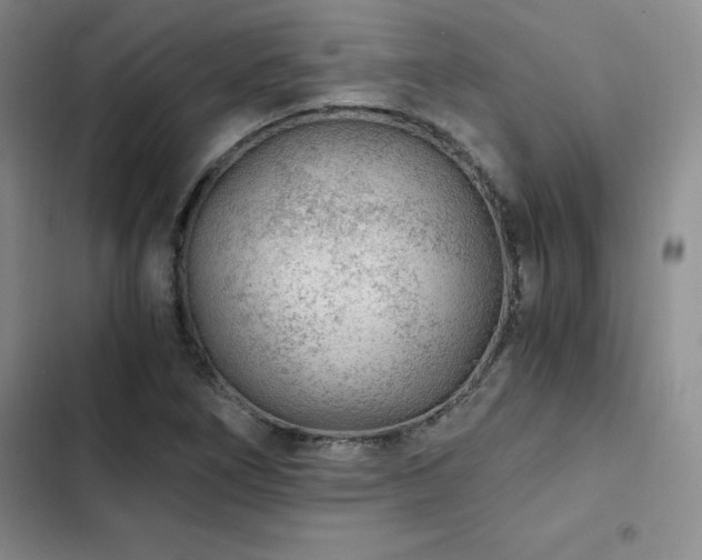 X0000103161266200808221346