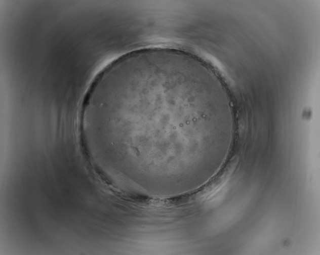X0000103161267200808221346