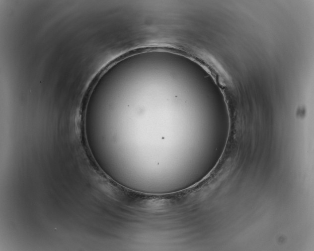 X0000103161268200808221346
