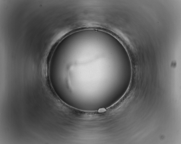 X0000103161269200808221346