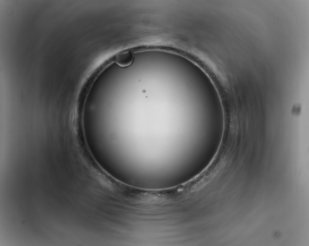 X0000103161270200808221346