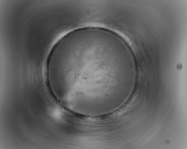 X0000103161271200808221346