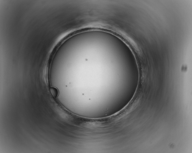X0000103161272200808221346