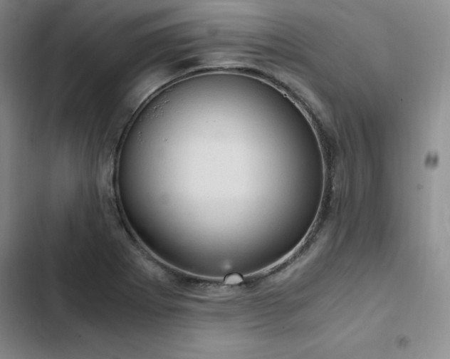 X0000103161273200808221346