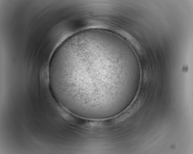 X0000103161274200808221346