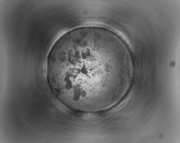 X0000103161275200808221346