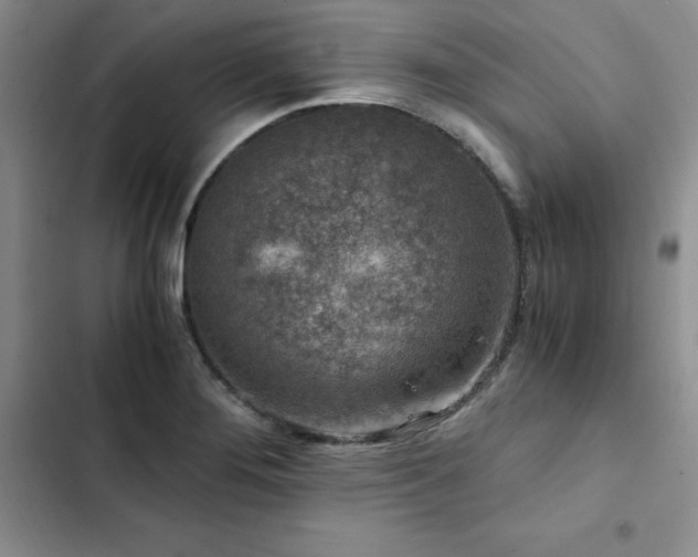 X0000103161276200808221346