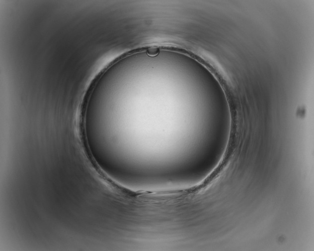 X0000103161277200808221346