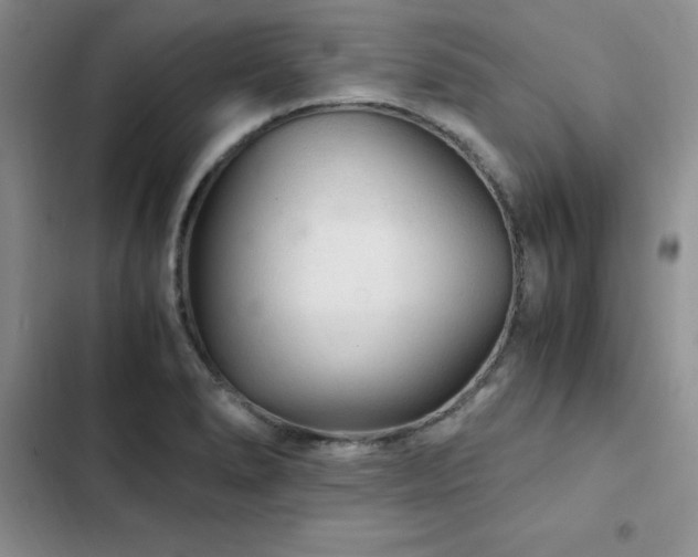 X0000103161278200808221346