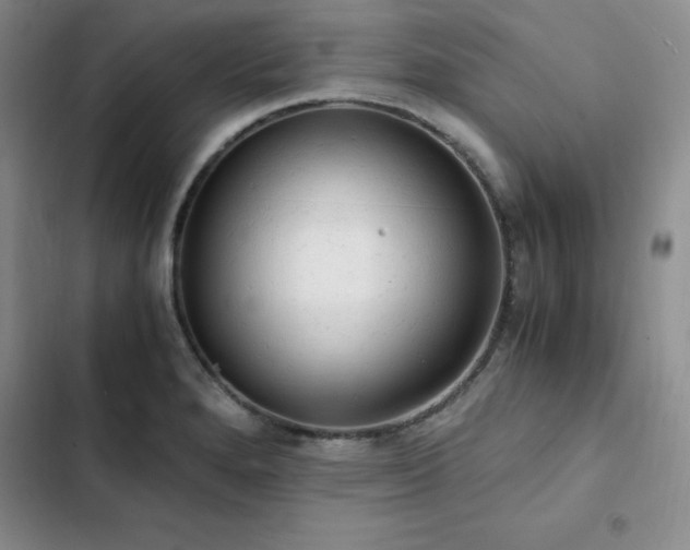 X0000103161280200808221346