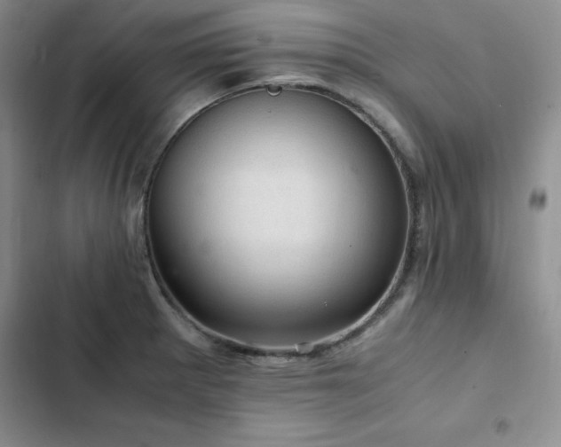 X0000103161281200808221346