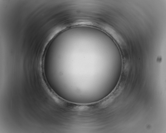 X0000103161282200808221346