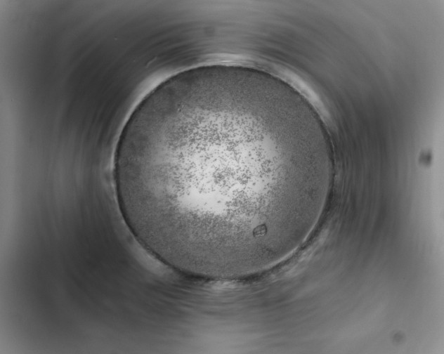 X0000103161283200808221346
