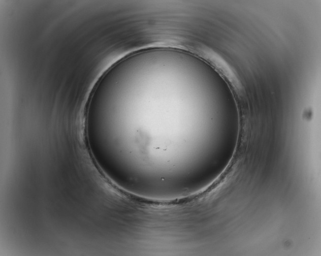 X0000103161284200808221346