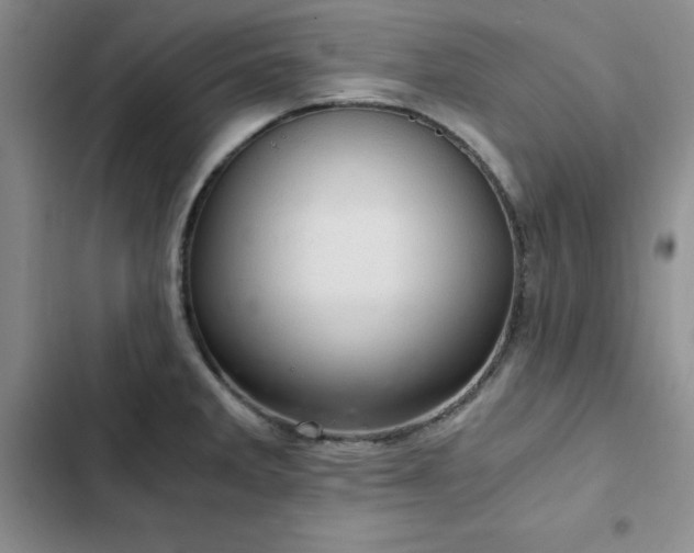 X0000103161285200808221346