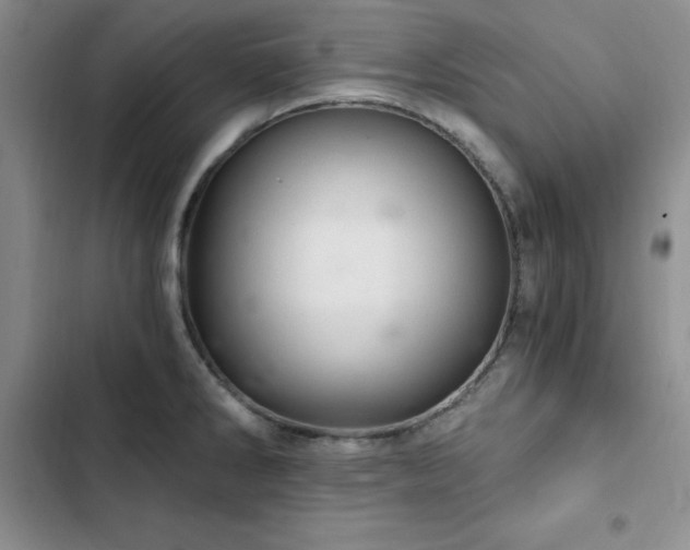 X0000103161286200808221346