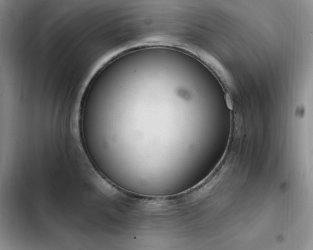 X0000103161288200808221345