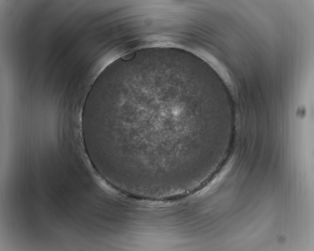 X0000103161289200808221345