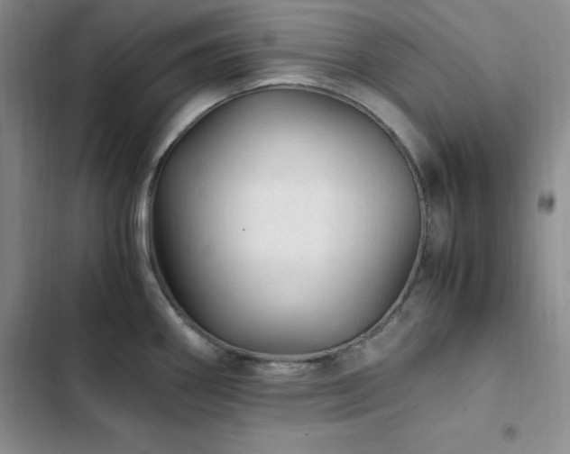 X0000103161290200808221345
