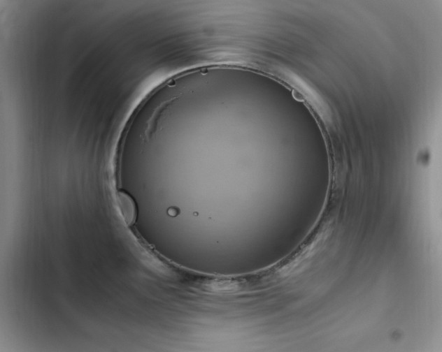 X0000103161291200808221345