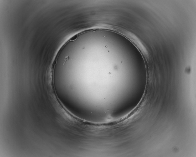 X0000103161292200808221345