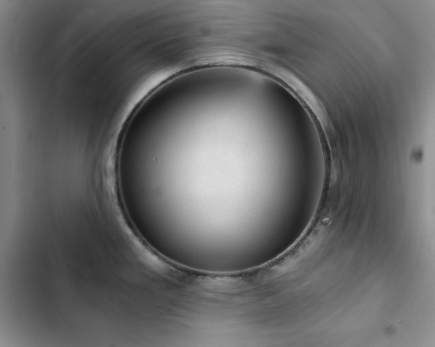 X0000103161293200808221345