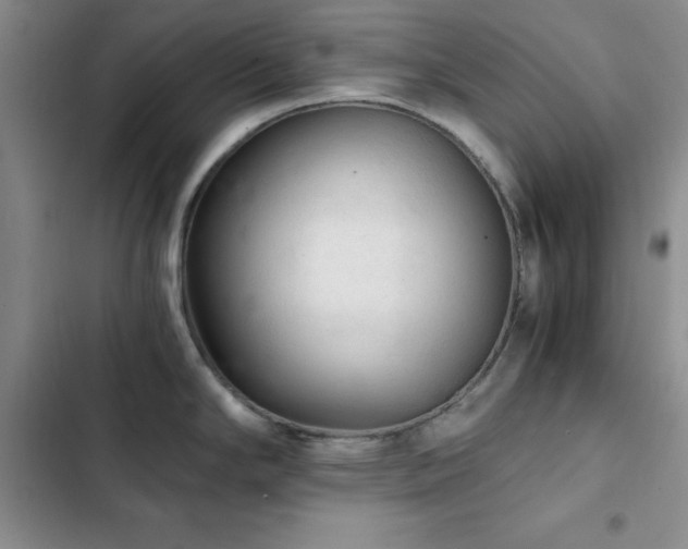 X0000103161294200808221345