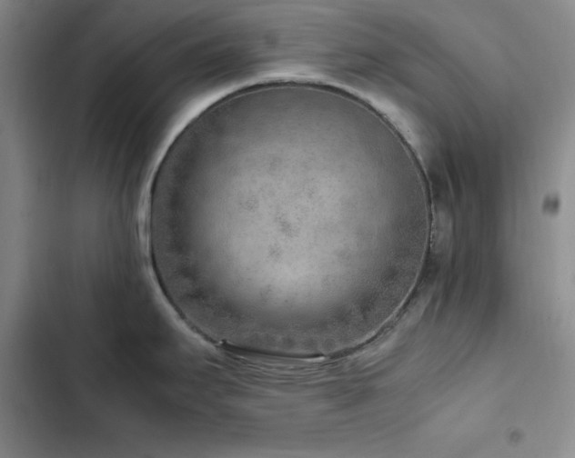 X0000103161295200808221345