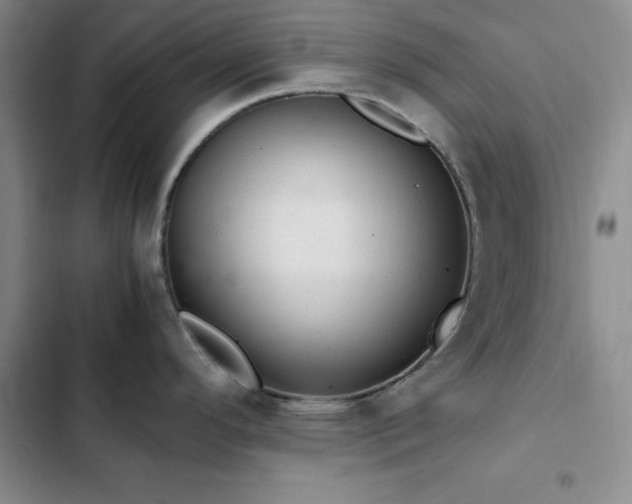 X0000103161296200808221345