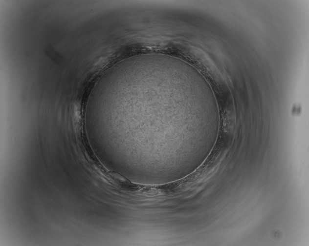 X0000103161298200808221345